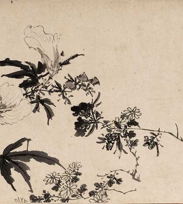 陈淳水墨花卉图卷_04