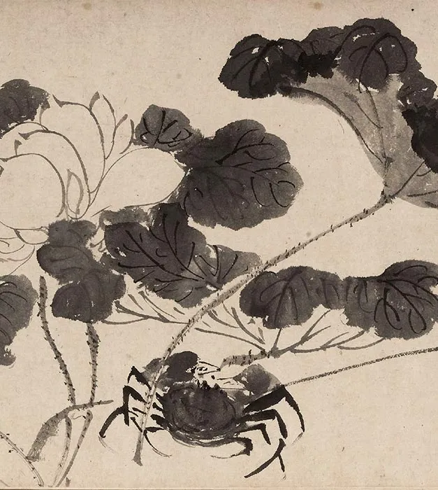 陈淳水墨花卉图卷_09