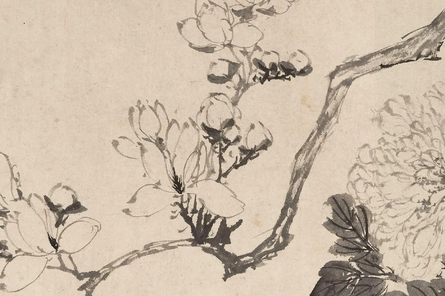 陈淳水墨花卉图卷- 国画作品高清大图下载- 集古作网