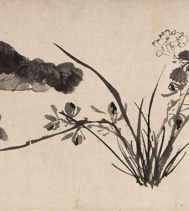 陈淳水墨花卉图卷_10