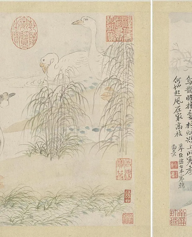 恽寿平《山水花卉图册》（_05