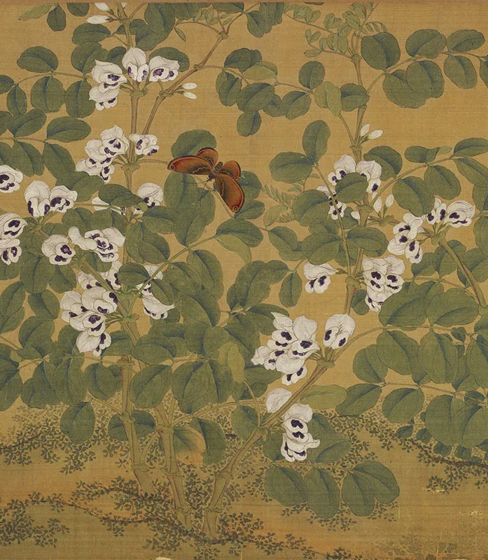 传马麟花卉画《豆蝶图》卷_10