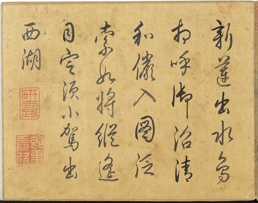 宋马麟画花卉册_09