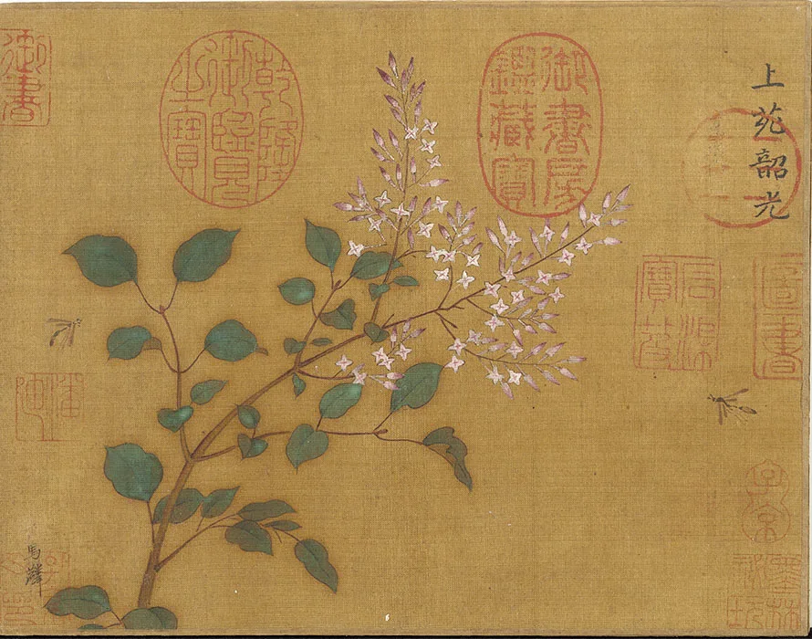 宋马麟画花卉册_14