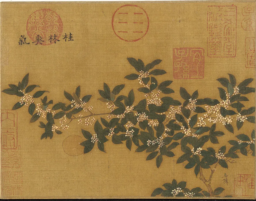 宋马麟画花卉册_02