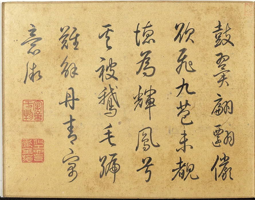 宋马麟画花卉册_05