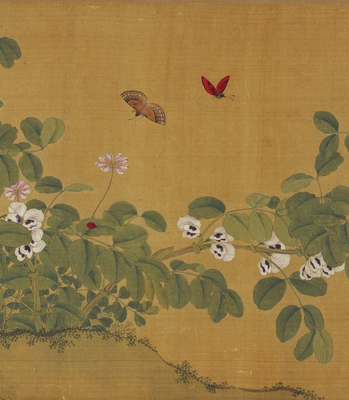 传马麟花卉画《豆蝶图》卷_11
