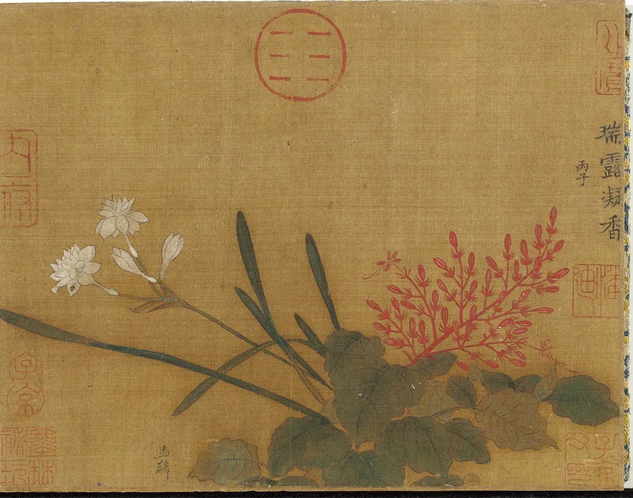 宋马麟画花卉册_08