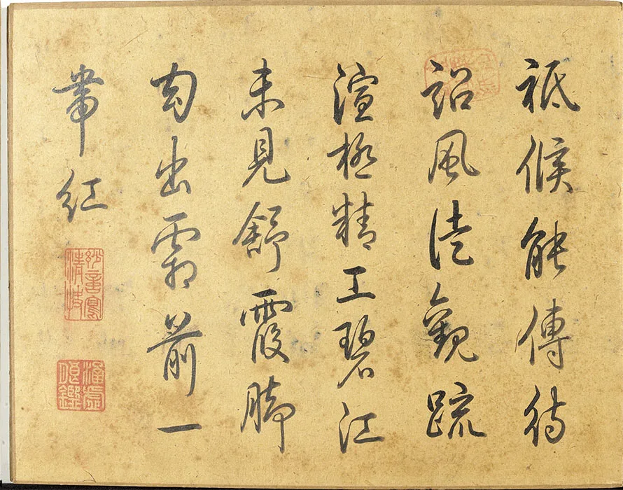 宋马麟画花卉册_03