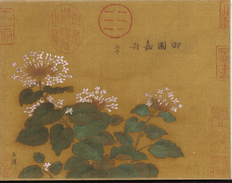 宋马麟画花卉册_12