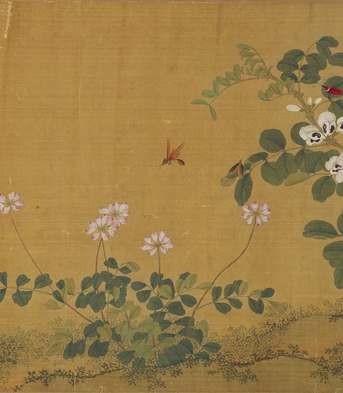 传马麟花卉画《豆蝶图》卷_09