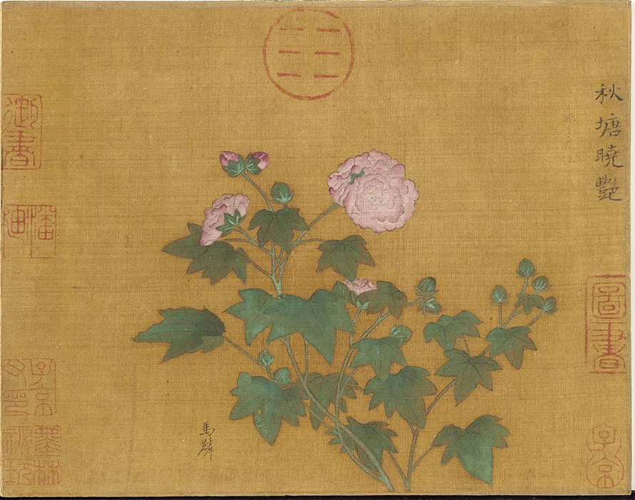 宋马麟画花卉册_04