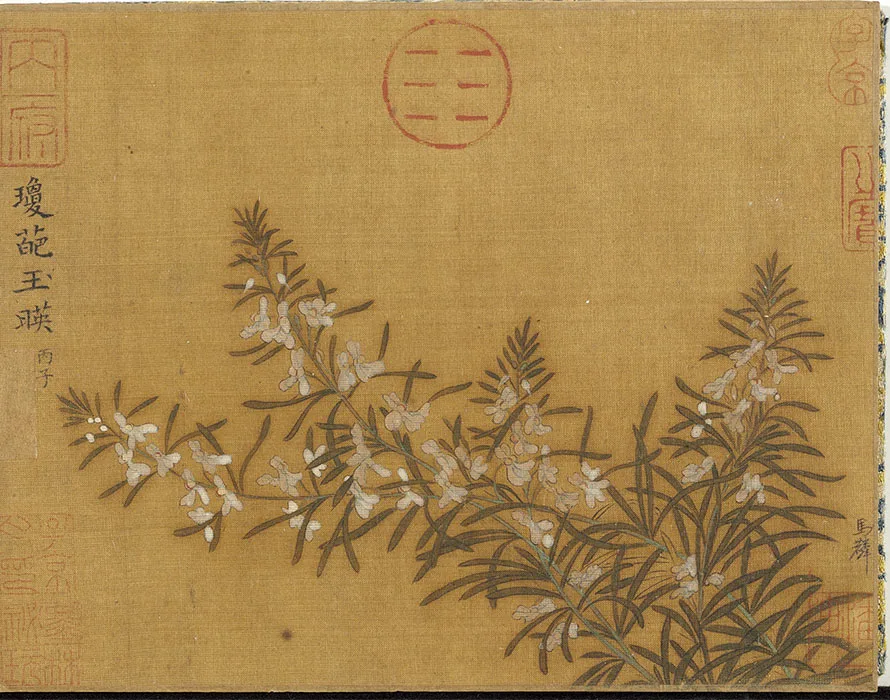 宋马麟画花卉册_06