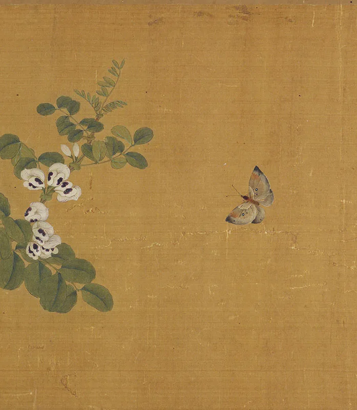 传马麟花卉画《豆蝶图》卷_12