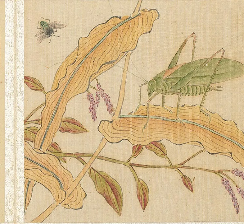 樊圻山水花卉册_11