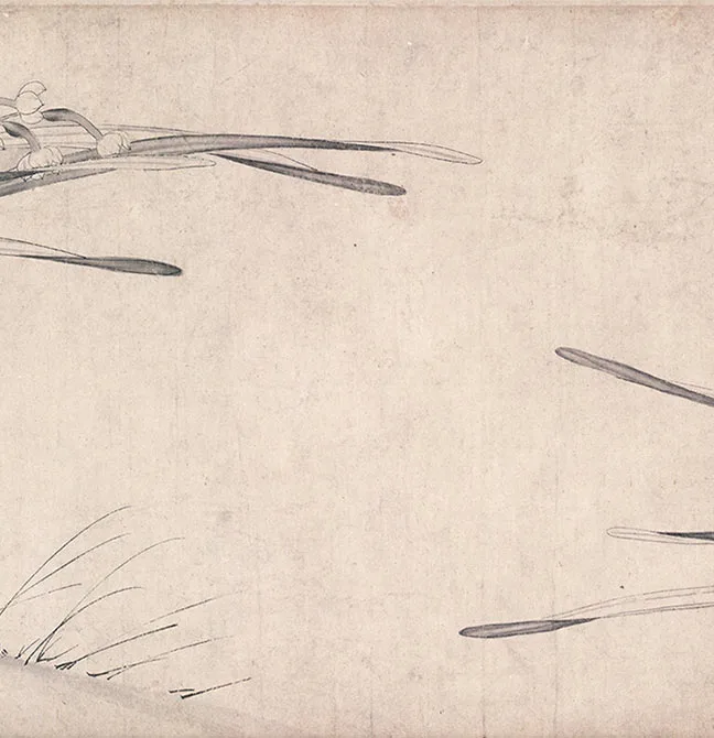 宋赵孟坚《水仙图》卷_14