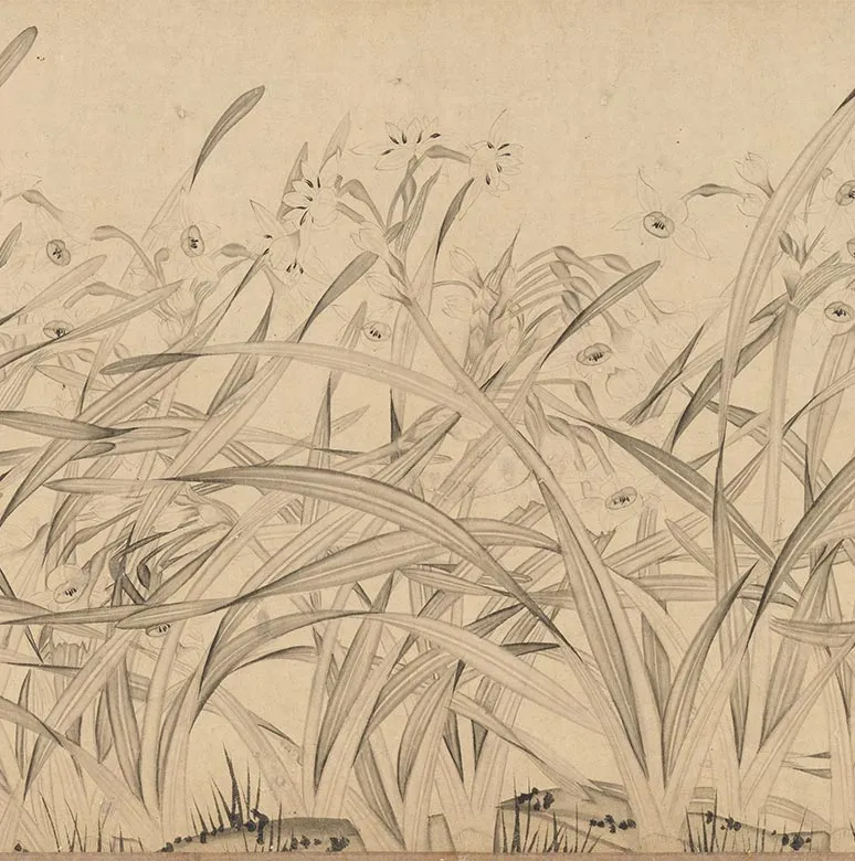 宋赵孟坚水仙花图卷_16
