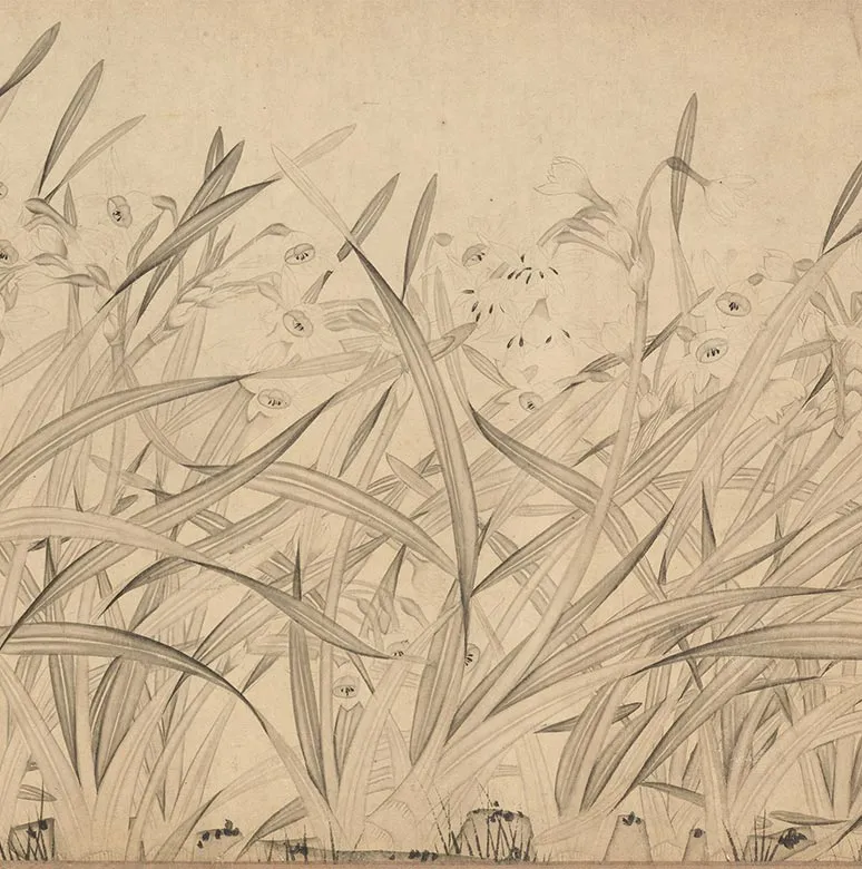 宋赵孟坚水仙花图卷_17