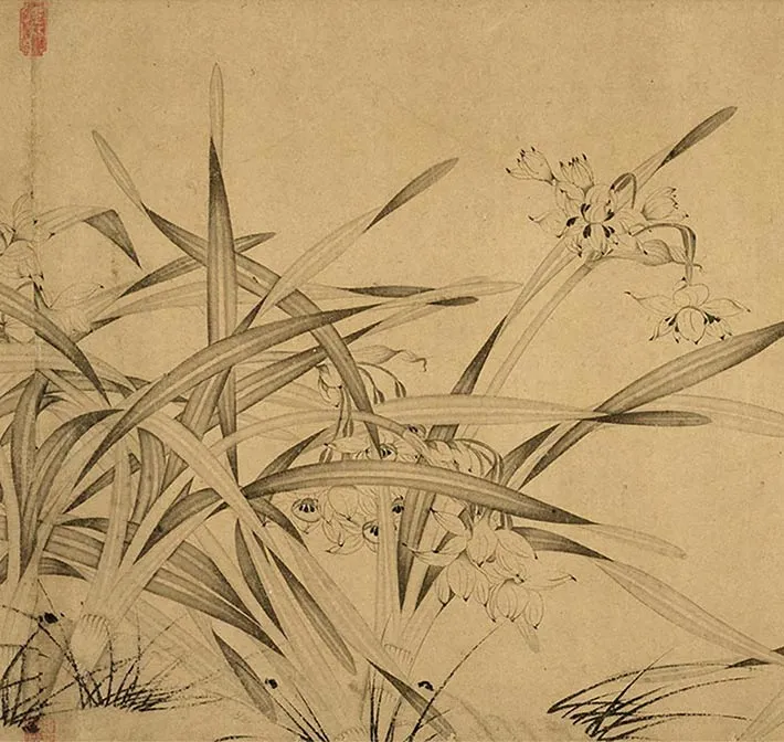 赵孟坚水仙卷_17