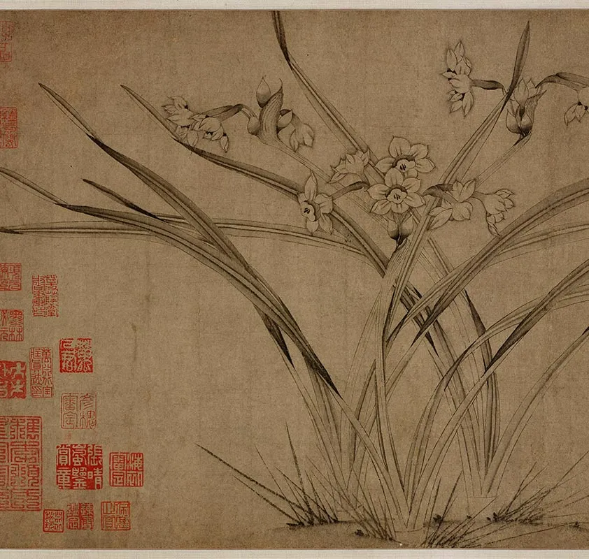 赵孟坚水仙图卷_06