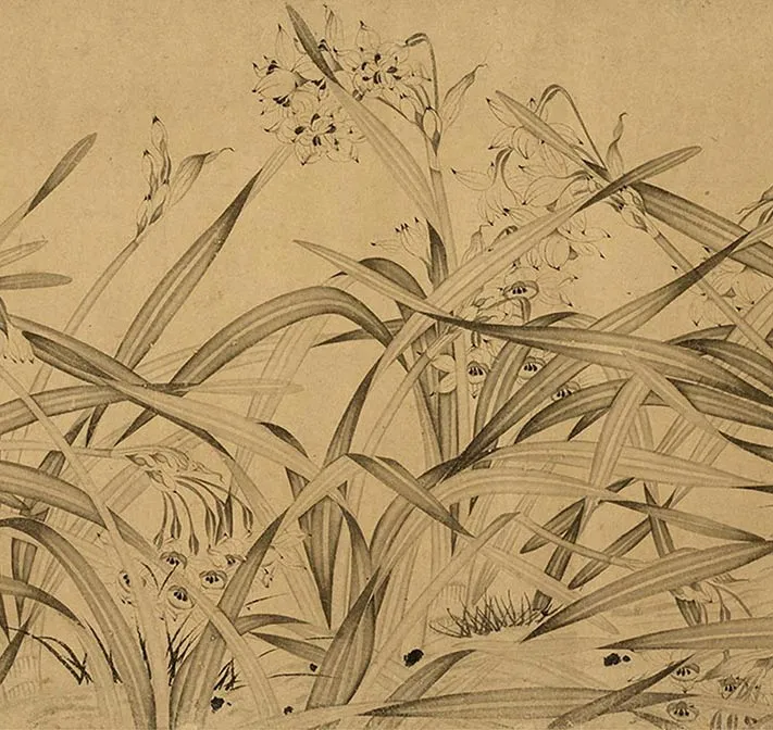 赵孟坚水仙卷_27