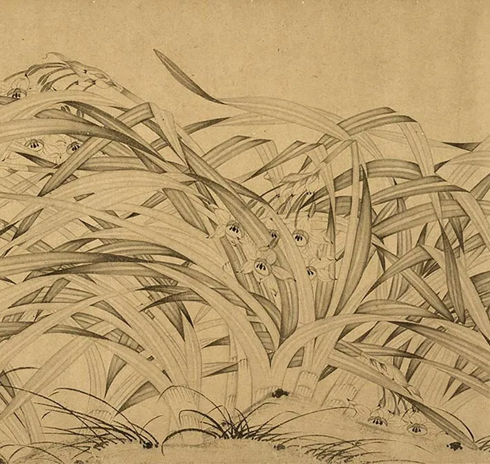 赵孟坚水仙卷_15