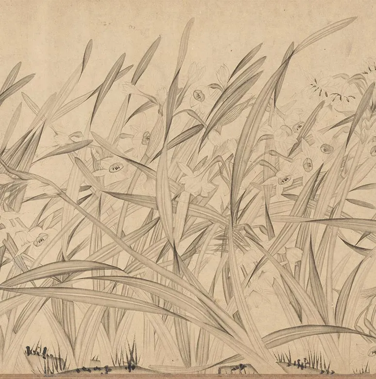宋赵孟坚水仙花图卷_14