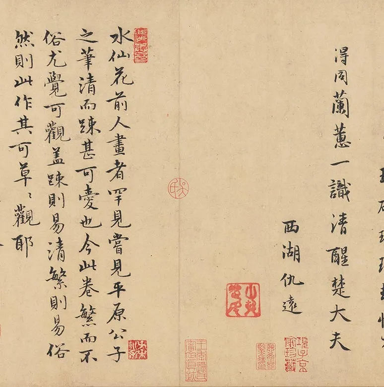 宋赵孟坚水仙花图卷_06