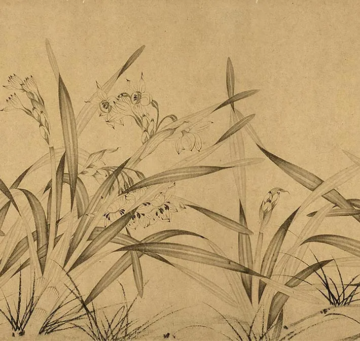 赵孟坚水仙卷_19