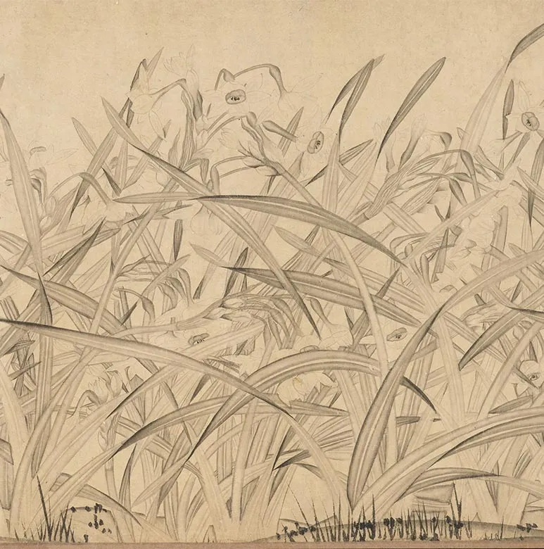 宋赵孟坚水仙花图卷_11