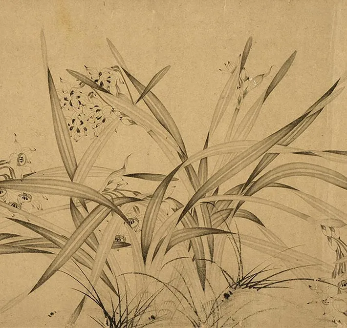 赵孟坚水仙卷_21