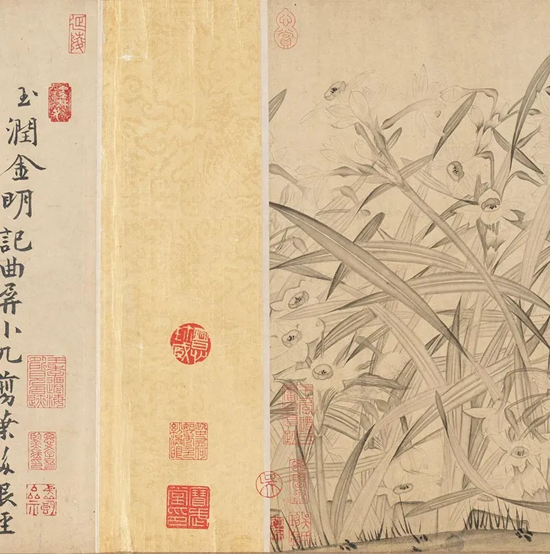 宋赵孟坚水仙花图卷_09