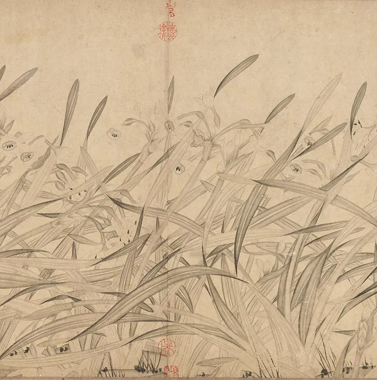 宋赵孟坚水仙花图卷_18