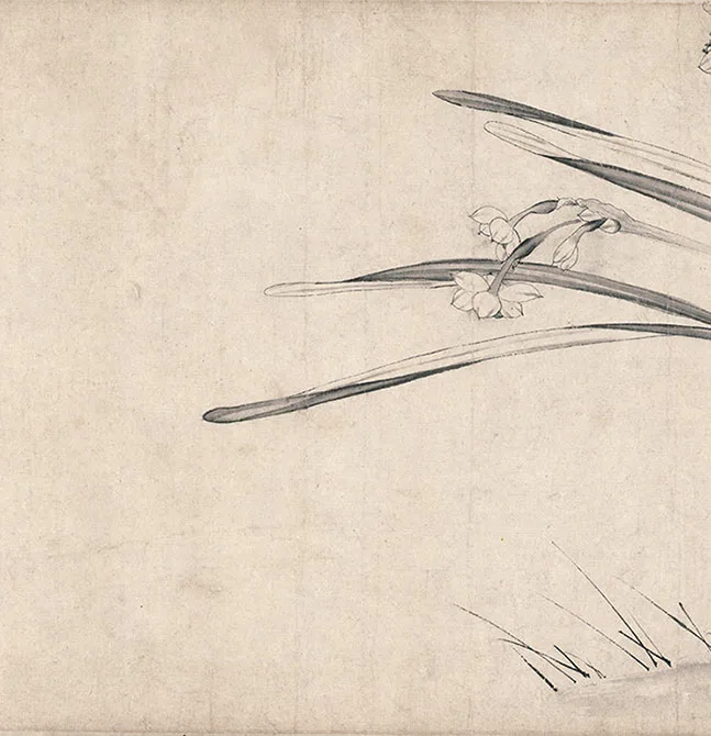 宋赵孟坚《水仙图》卷_04