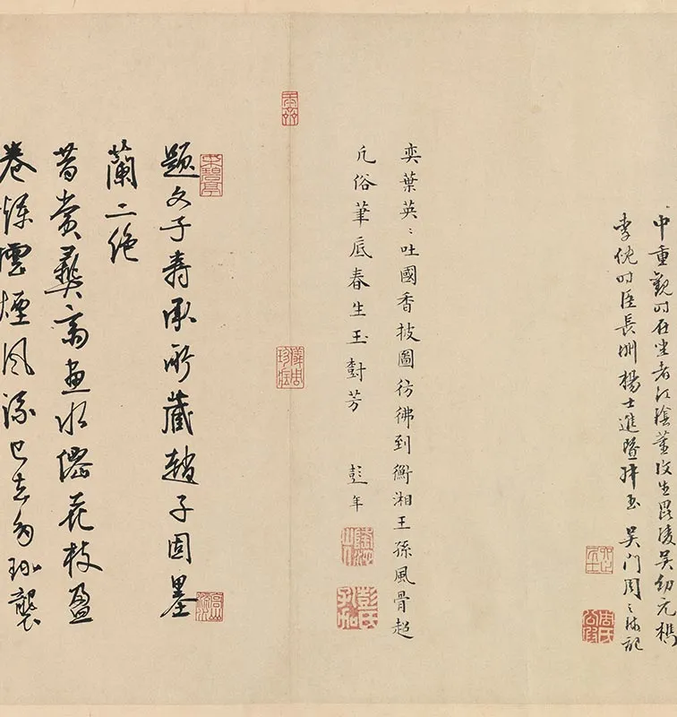 赵孟坚墨兰图卷_04