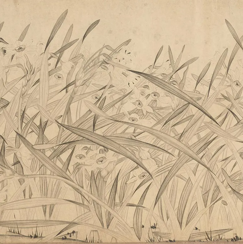 宋赵孟坚水仙花图卷_10