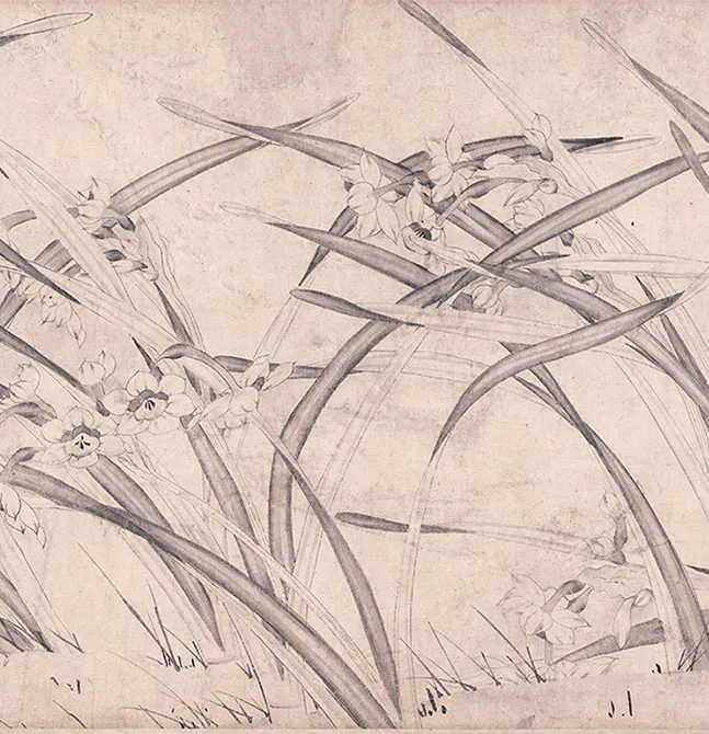 宋赵孟坚《水仙图》卷_21