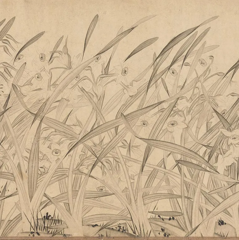 宋赵孟坚水仙花图卷_13
