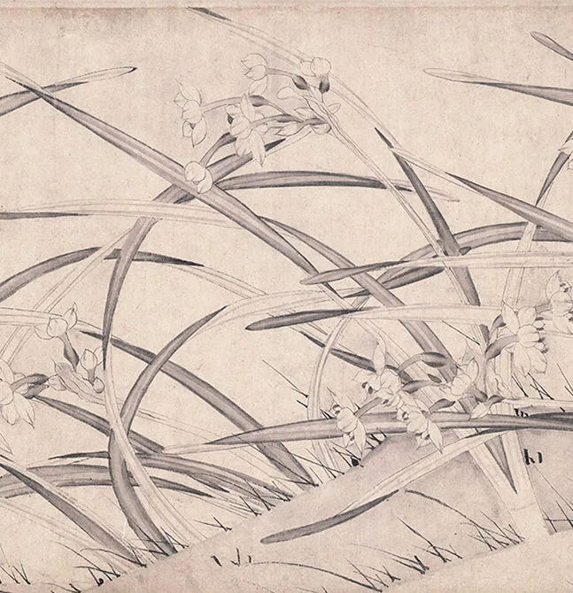 宋赵孟坚《水仙图》卷_17