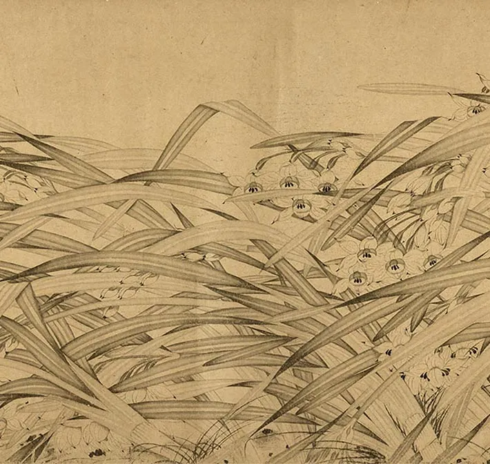 赵孟坚水仙卷_14