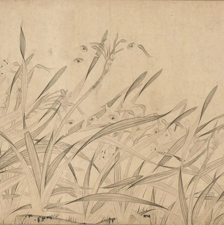 宋赵孟坚水仙花图卷_19