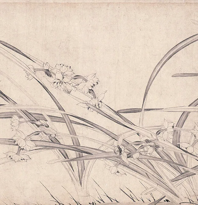 宋赵孟坚《水仙图》卷_16