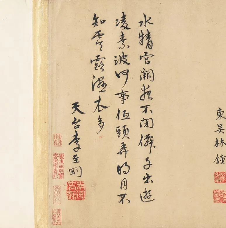 宋赵孟坚水仙花图卷_05