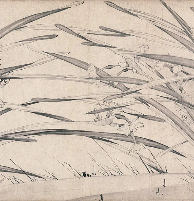 宋赵孟坚《水仙图》卷_09