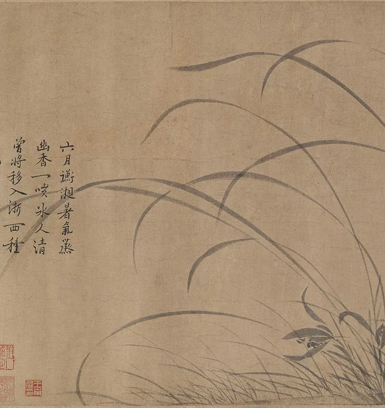 赵孟坚墨兰图卷_09