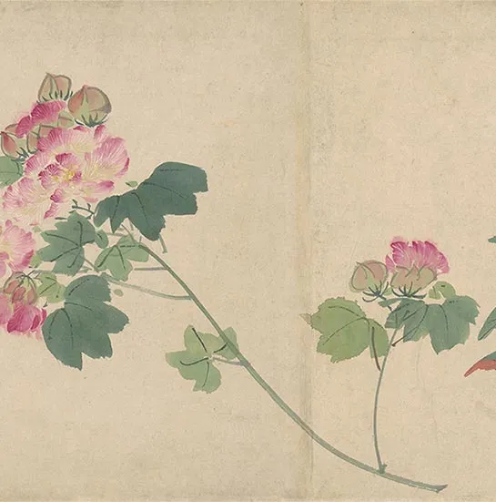周之冕花卉画《百花图卷》_23