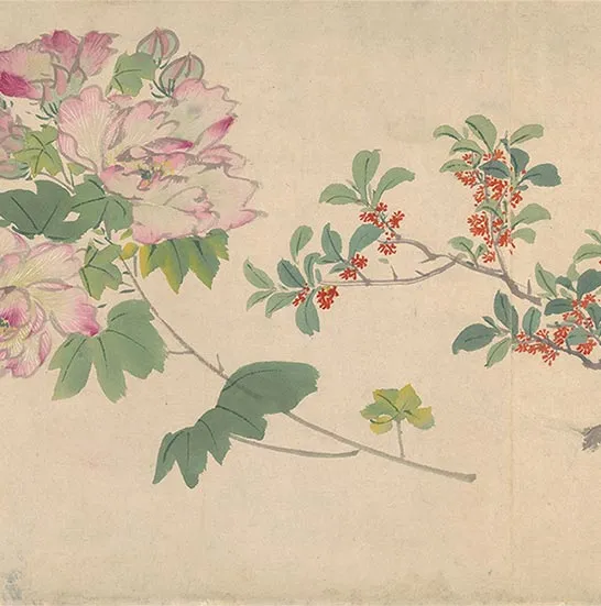 周之冕花卉画《百花图卷》_18