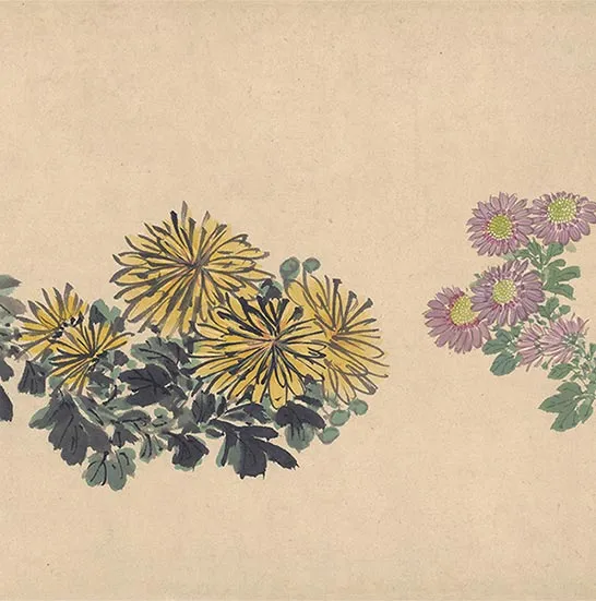 周之冕花卉画《百花图卷》_13
