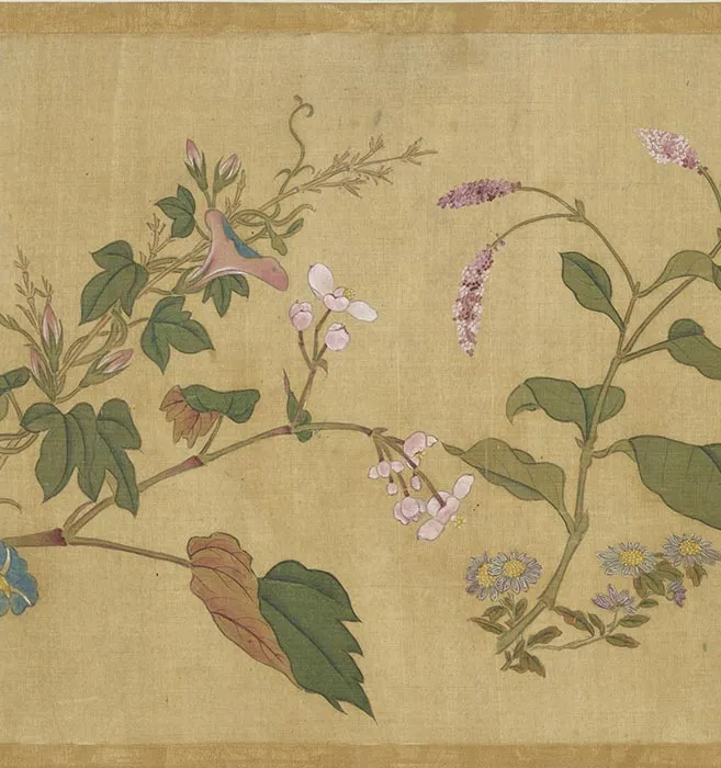 明周之冕花卉卷_08