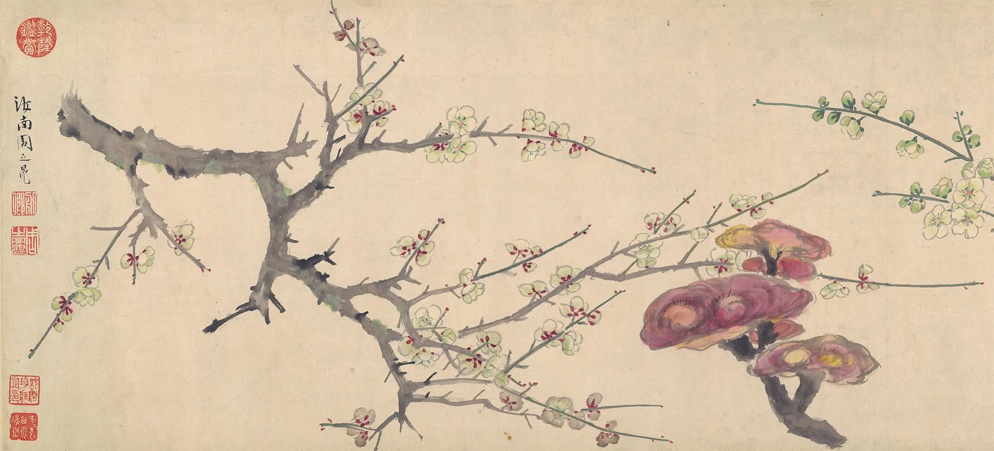 周之冕设色花卉画《百花图卷》局部-2